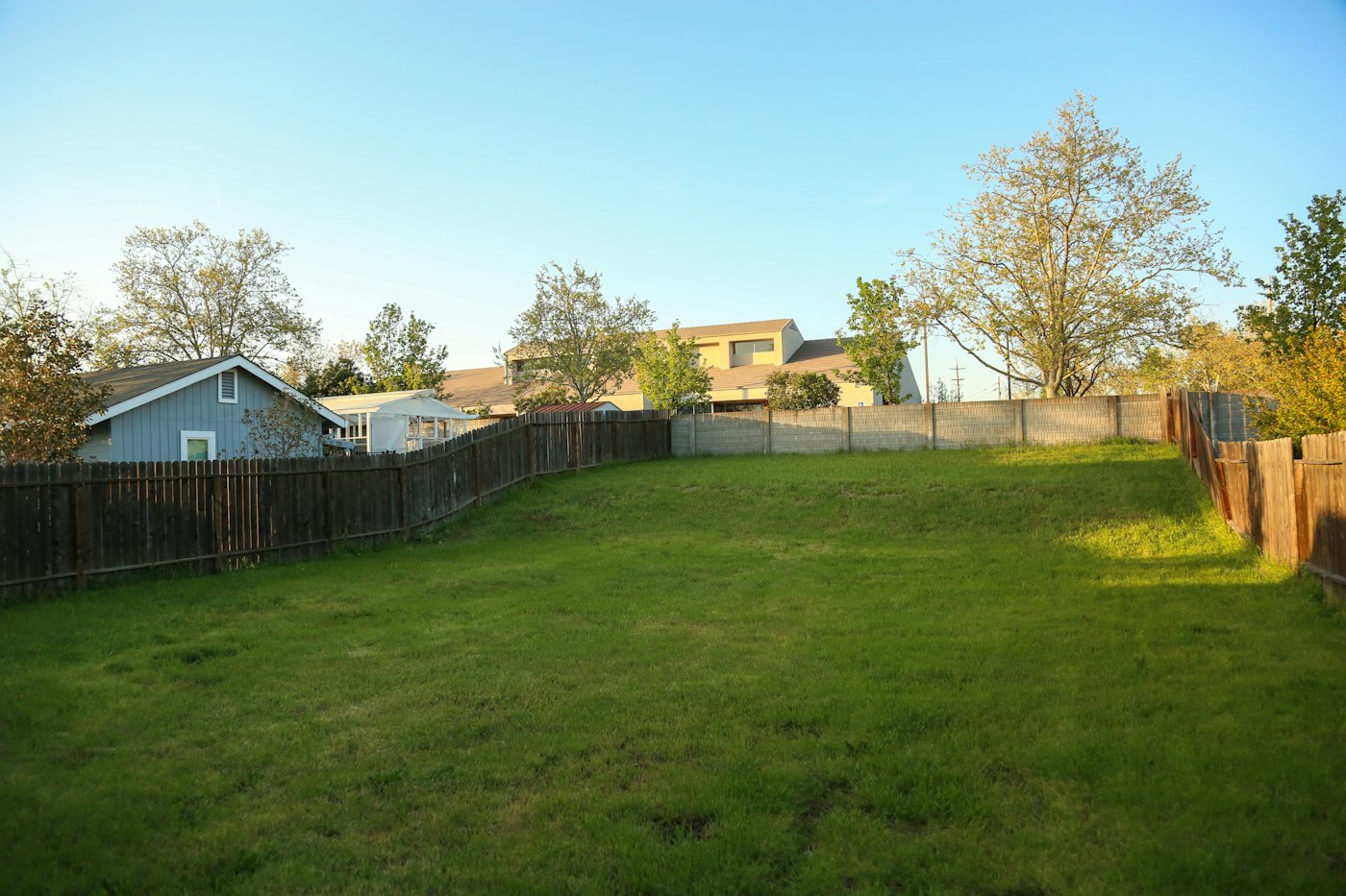 After: cleared, level backyard with fresh grass